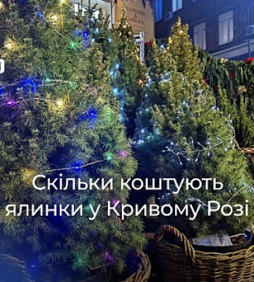 Сколько стоят новогодние елки в Кривом Роге