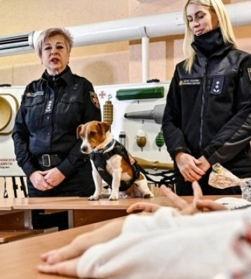 У Запоріжжі разом із псом Патроном створюють посібник із протимінної безпеки для дітей