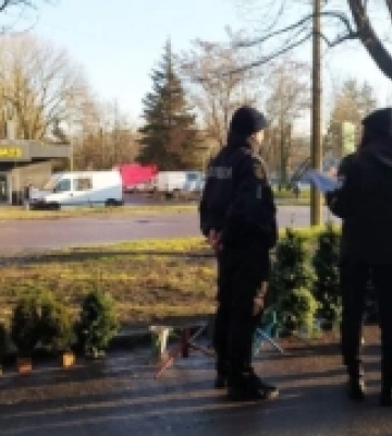 Поліцейські Рівненщини проводять щорічні рейди у протидії незаконній порубці та реалізації хвойних дерев