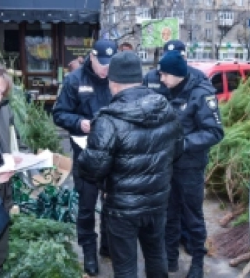 У Миколаєві поліцейські перевірили місця торгівлі ялинками – виявили порушників