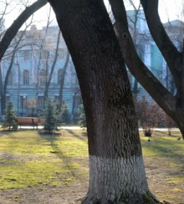 Аномальне тепло у Києві другий день поспіль б&#039;є рекорди