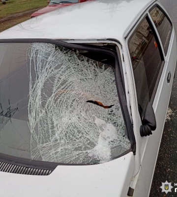 Перебігала в невстановленому місці: у Харкові під колесами авто загинула жінка