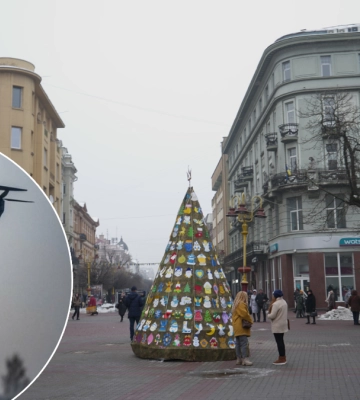 Франківськ закупив 800 FPV-дронів за 13 млн грн