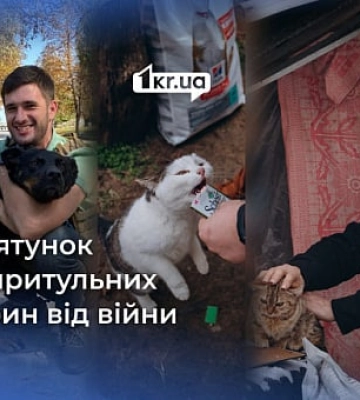 Як волонтери Дніпропетровщини та Миколаївщини рятують тварин від війни