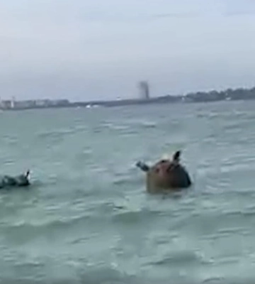 На Одещині до пляжу прибило морську міну
