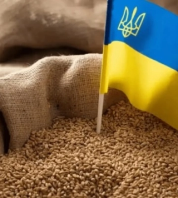 На Кіровоградщині ухвалили програму розвитку АПК на п’ять років