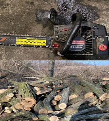 На Дніпропетровщині затримали трьох чоловіків, які вирубували акацію у лісосмузі