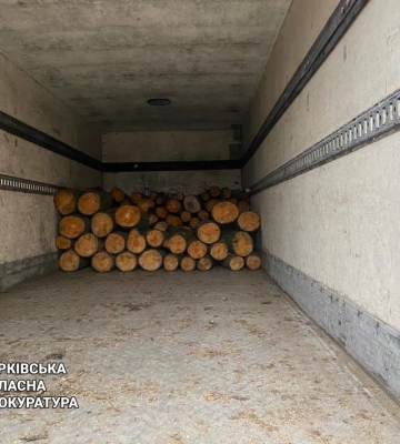 Напилили 210 деревьев на 1,6 млн грн: банду лесорубов поймали на Харьковщине