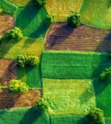 У Луцьку продали чотири комунальні земельні ділянки