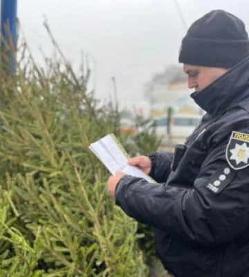 Поліція Закарпаття перевіряє ялинкові ринки на законність купівлі та продажу новорічних дерев