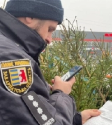 Поліція Закарпаття перевіряє ялинкові ринки на законність купівлі та продажу новорічних дерев