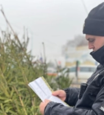Поліція Закарпаття перевіряє ялинкові ринки на законність купівлі та продажу новорічних дерев