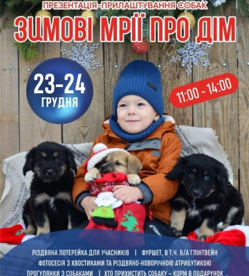 На вихідних у Сумах пройде презентація собак від товариства захисту тварин
