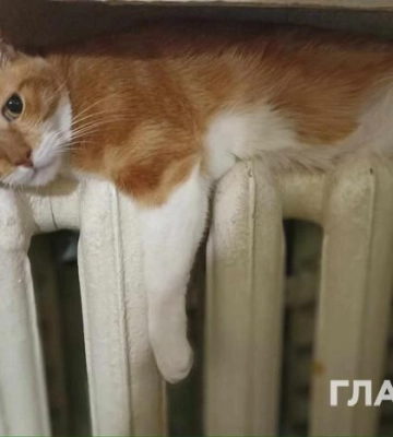 У мешканців багатоповерхівки в центрі столиці п&#039;ятий день поспіль немає опалення