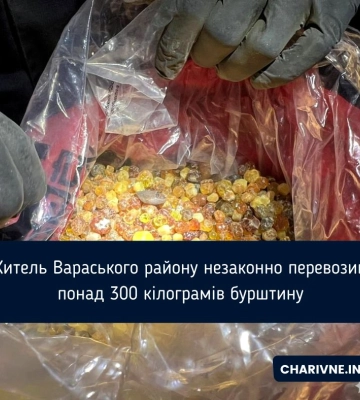Житель Вараського району незаконно перевозив понад 300 кілограмів бурштину