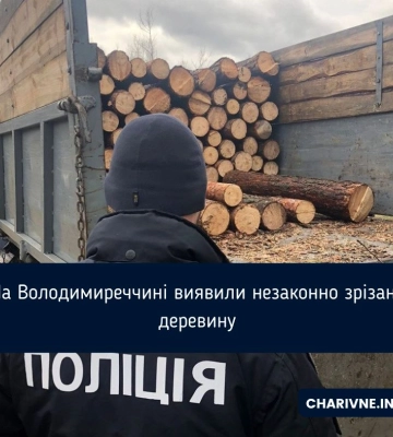 На Володимиреччині виявили незаконно зрізану деревину