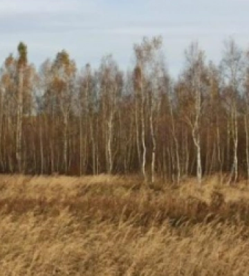 «Торфовище Білогорща» залишається заказником: рішення суду