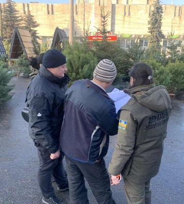 Перевірки ялинкових базарів на Харківщині: екоінспектори знайшли порушення