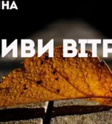 Мешканців Львівщини попереджають про сильні пориви вітру
