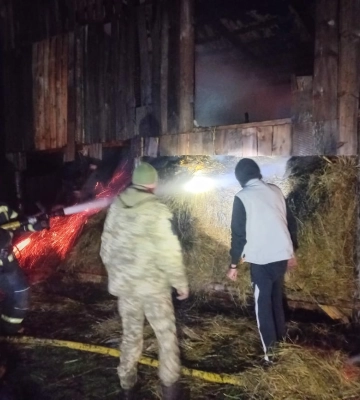Нема ні сіна, ні навісу - у Різдво вогонь наробив шкоди мешканцям Полісся