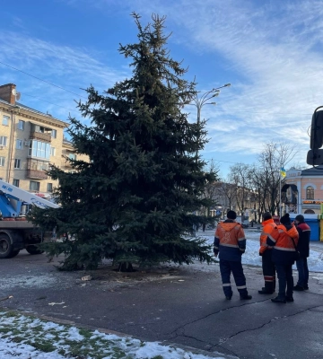 У Полтаві почали встановлювати новорічну ялинку: яка вона