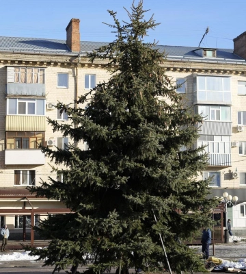 У Полтаві почали встановлювати новорічну ялинку: яка вона