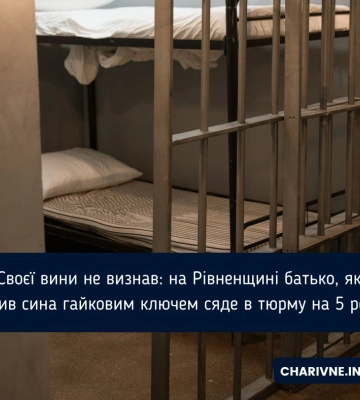 Своєї вини не визнав: на Рівненщині батько, який бив сина гайковим ключем сяде в тюрму на 5 років