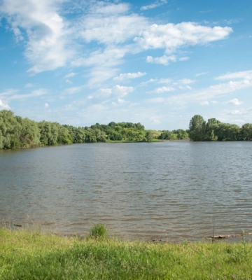 На ділянці водного фонду незаконно займались аграрною справою