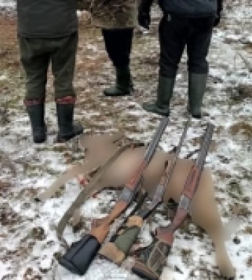 На Волині браконьєри застрелили самця косулі