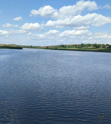 23 гектари на 15 років: ставок у Луцькому районі віддають в оренду. Фото