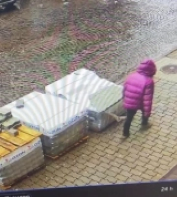 Зниклу на Мукачівщині дівчину зафіксували вуличні камери відеоспостереження