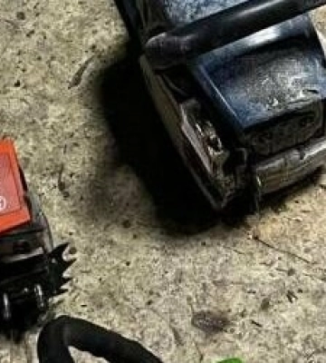 Шкода від порубу сосен на території Басівського парку склала понад 170 тисяч гривень