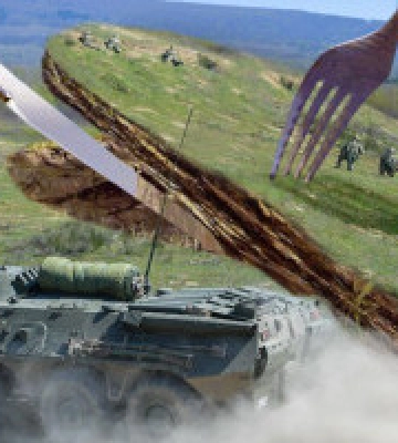 У власність Міноборони повернули 10 гектарів земель на Київщині