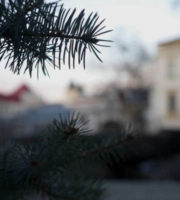 Тепло без опадів: погода в Івано-Франківську 28 грудня