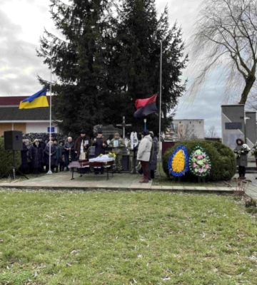 У Луцькому районі дерево впало на дорогу. Фото