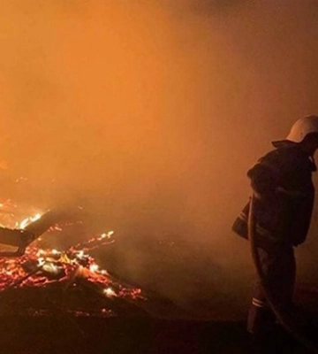 В Одесской области в заброшенном доме сгорели двое неизвестных