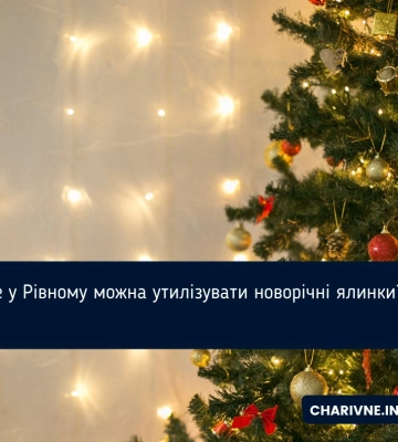 Де у Рівному можна утилізувати новорічні ялинки?