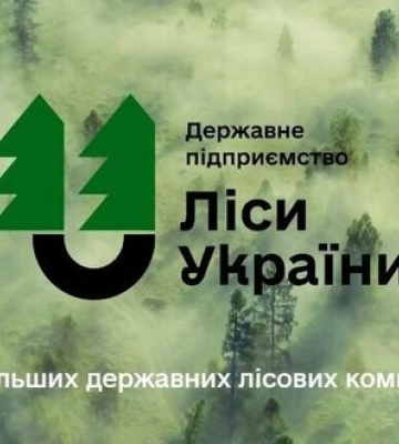 На розкраданні деревини та системному хабарництві викрито директора філії "Лісів України" на Вінничині, - ДБР
