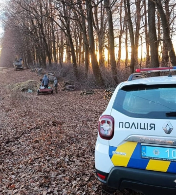 На Черкащині виявили трьох осіб, які незаконно вирубували дерева