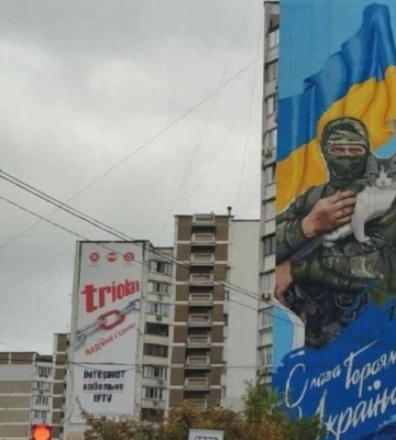Ескізи і локації розміщення муралів у Києві: у КМДА відповіли на петицію