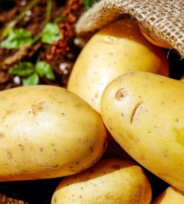 Где на этих выходных в Киеве пройдут продуктовые ярмарки. Адреса