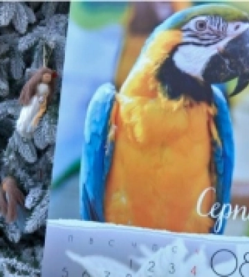Луцький зоопарк випустив фірмовий календар із зображеннями своїх тварин