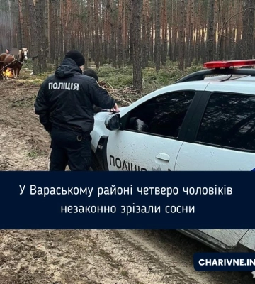 У Вараському районі четверо чоловіків незаконно зрізали сосни