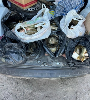 На Одещині чоловік перевозив велику партію риби без дозвільних документів