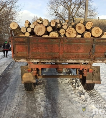 На Конотопщині правоохоронці задокументували два факти незаконної вирубки дерев