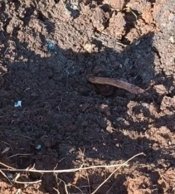 Авиация ВСУ нанесла 11 ударов по врагу