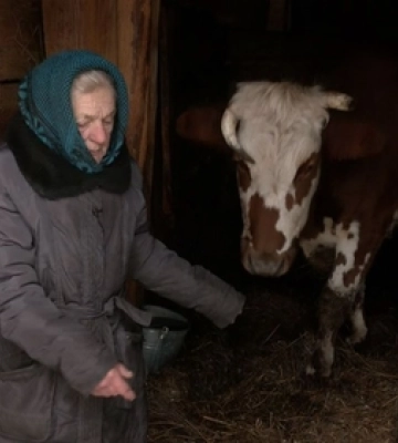 «Люблю коло них ходити»: 85-річна волинянка доглядає за сімома коровами (відео)