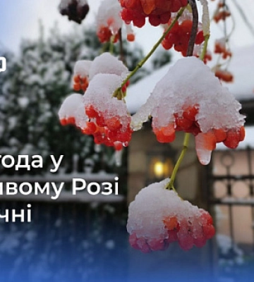 Прогноз погоды на январь 2024 года в Кривом Роге