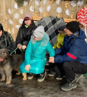 У Сумах 4 безпритульні собаки знайшли родини