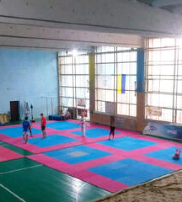 У Полтаві планують витратити майже 18 мільйонів на ремонт палацу спорту